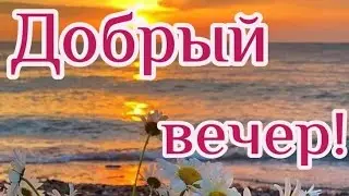 Добрый Вечер