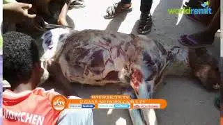 Somalis are eating HYENAS !!!