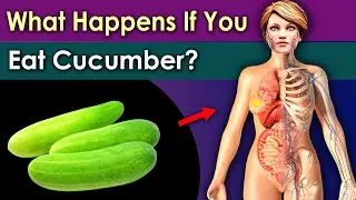 What Happens to Your Body If You Eat Cucumber Every Day?