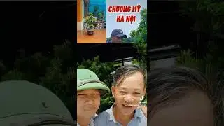 Tùng kim cương sao mà yêu đến thế