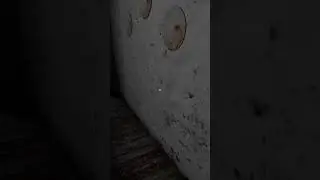 #gameplay