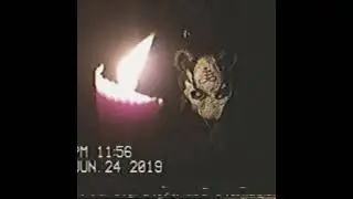 [SOLD] $UICIDEBOY$ X RAMIREZ X POUYA ''WITCHCRAFT'' [PROD.ZODIACC]