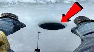 SLAYING PERCH CHEMONG LAKE 2017