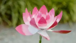 Lotus Flower Wind Spinner