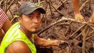 Don R Quiere Agarrar Un Azul: Don Barra Agarro Uno Bien Grandote!