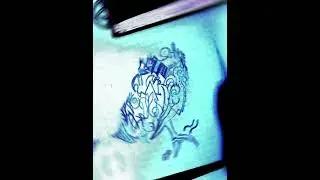 uma ecxessão /jonatan /joão vitor    ''[NarcBeats]''