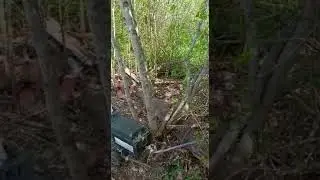 Самарская область пастух