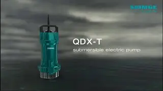 Shimge QDX-T Submersible Pumps: Elevating Your Water Efficiency