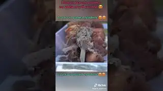 Ангдоты из тиктока