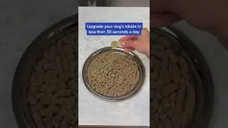 Upgrade your dog's kibble with this 1 simple tip 👀🐶 #shorts