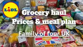 Lidl grocery haul - prices and meal plan | Family of four UK