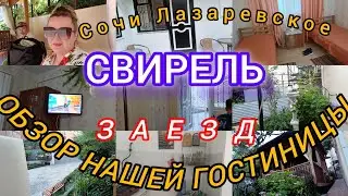 СОЧИ ЛАЗАРЕВСКОЕ/ОБЗОР НАШЕЙ ГОСТИНИЦЫ СВИРЕЛЬ/ЗАЕЗД