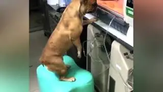 Дети это счастье...