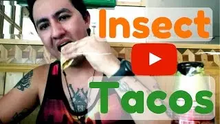 Exotic (insect) tacos in Mexico City