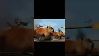 теперь нормальное сравнение 