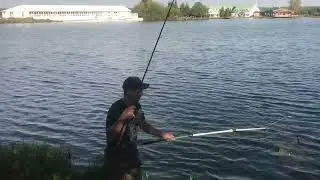 Поимка карпа на большом водоёме