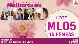 LOTE ML05 - 15 Fêmeas - 487 Kg