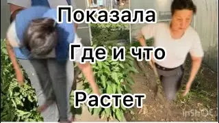 Уборка в доме и в теплице закончилась магазином и баней.#уборка #огород #баня