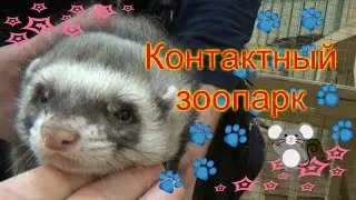 VLOG#Идем в контактный зоопарк «Ребятам о зверятах» в ТЦ Сити Молл. Adventure Zoo Happy Time