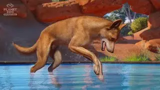 Touring Dingo Ditch In Planet Zoo!