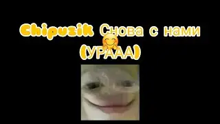 Чипузик снова с нами || Что дальше?