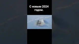 2024