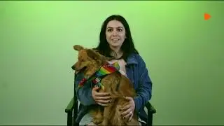 Zalando - My Colors of the Rainbow: Pride at Zalando (2022)