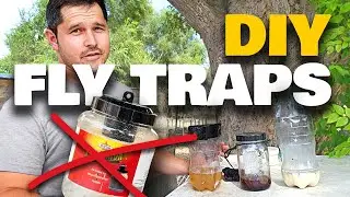 Fly Trap Showdown: DIY vs Store Bought