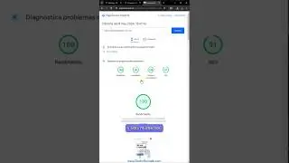 100 Puntos en PageSpeed con WordPress y LiteSpeed Cache 