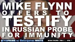 Mike Flynn Offers To Testify In Russian Probe For Immunity | #TWIBnation