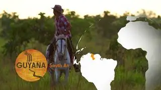 Guyana Destination Video - Wildlife