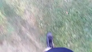 Walking