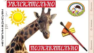 Пластилинография. Композиция про жирафа