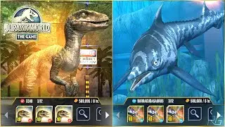 ECHO VELOCIRAPTOR, BARRACUDASAURUS X3 MAX LEVEL 40. BATTLE & ALL ANIMATION | Jurassic World The Game