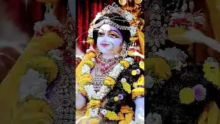 Radha vallabh #tumsadasadasemere #radhavallabh #vrindavan #viral
