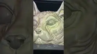 Sphinx 