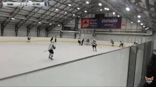 Феникс - Ice Force , матч регулярного чемпионата СПБХЛ