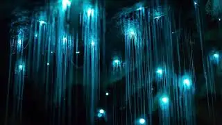 Waitomo Glowworm Caves, New Zealand - Пещеры Светлячков в Новой Зеландии