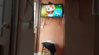 настоящий взлом канала Карусель!!!!!!!!!!!!!! я в шоке