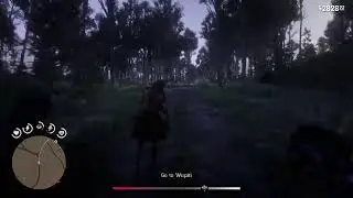 Red Dead redemption 2  high honor playthrough