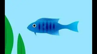 Squishy Fishy
