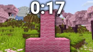 Minecraft Pink Upside Down T WORLD RECORD (0:17)