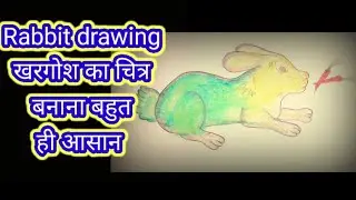 खरगोश का चित्र बनाना बहुत ही आसान। Rabbit drawing l khargosh ka chitra । art । chitra ।