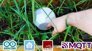 Self watering Duck, Plant Watering System with Homeassistant Integration