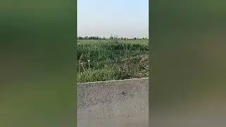 2023 yil 31 mart kunnidagi ov jarayoni- Hunting process on March 31, 2023