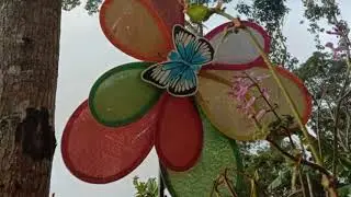 Jalan-Jalan Di Tembiau Forest Kibas,Ranau