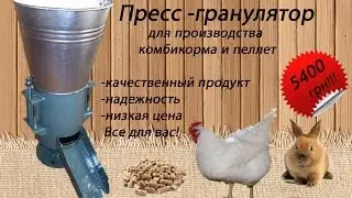 Пресс-гранулятор 150 мм в работе !