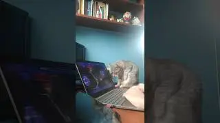 ДУМАЛ ... ☠️☠️☠️☠️☠️ (ЧИТАЙТЕ ОПИСАНИЕ)