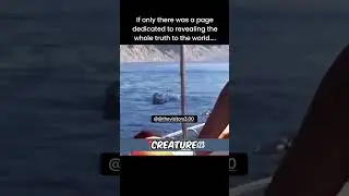 SEA MONSTER FOUND !! 😱#fishing #thalassophobia #shark #shorts