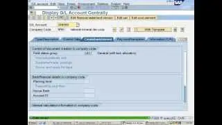 SAP  Sales and Distribution Configuration - GL Masters Creation fs00